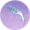 霜花鹄毛·贰.png