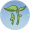 菜苗.png