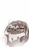 小头像-离魂庞德-魂魂.png