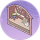拱形飘窗·鸣蝉.png