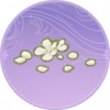 白梅花瓣·清澜.png