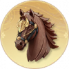 黄金笼头.png