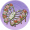 彩蝶景·清澜.png