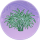 药草·流金.png