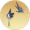 鸾羽钗·乌翅.png