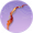 赤练·壹.png