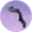 乌云含雪·贰.png