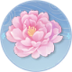 据点-芍药.png