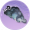叆叇愁云.png