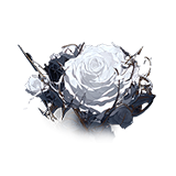 凋零的花瓣.png