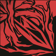 诺亚-奥义.png