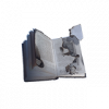 残缺的书页.png