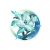 月背之梦.png