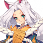 猫掌柜