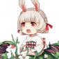 山兔