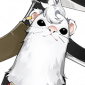 风狸