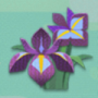 紫棠菖蒲.png
