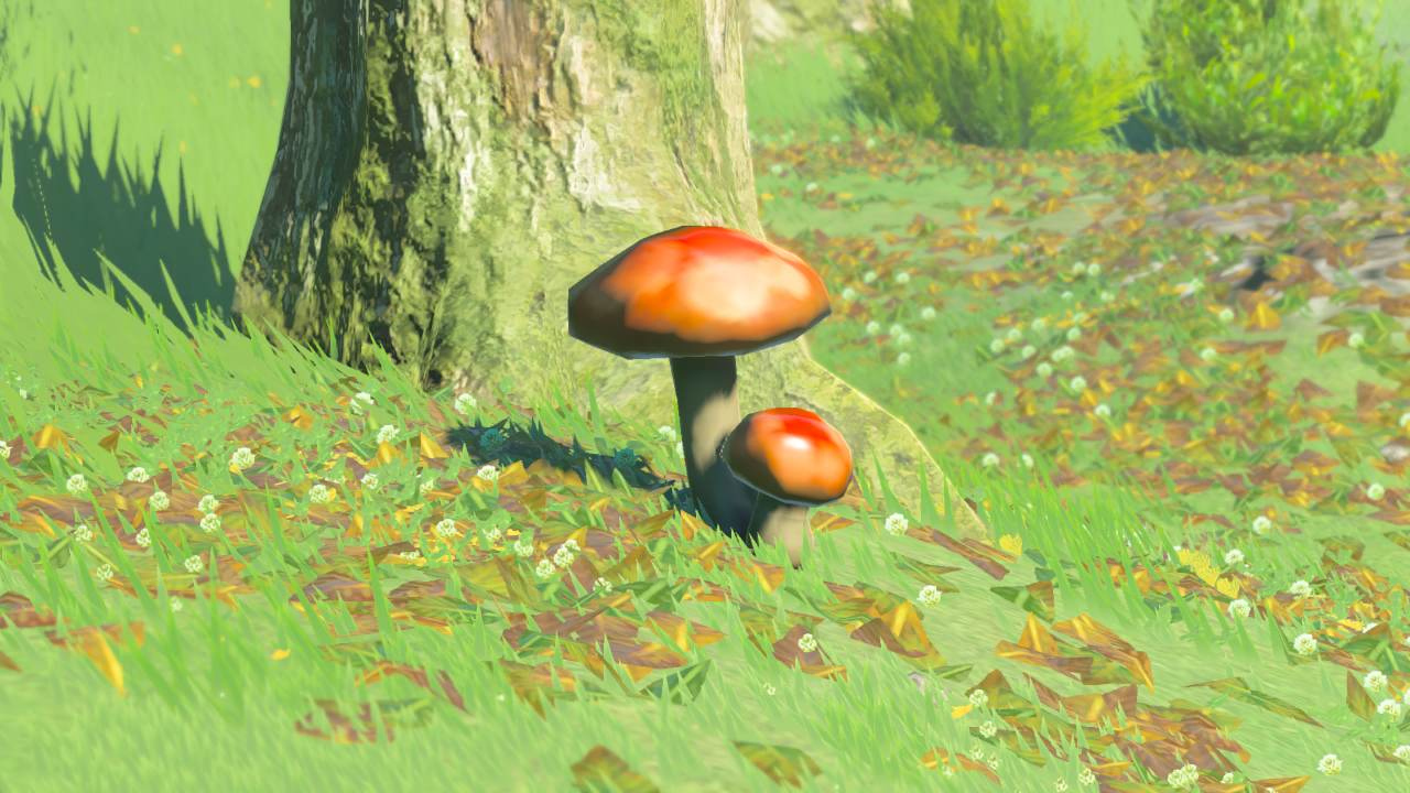 Item Mushroom E Detail.png
