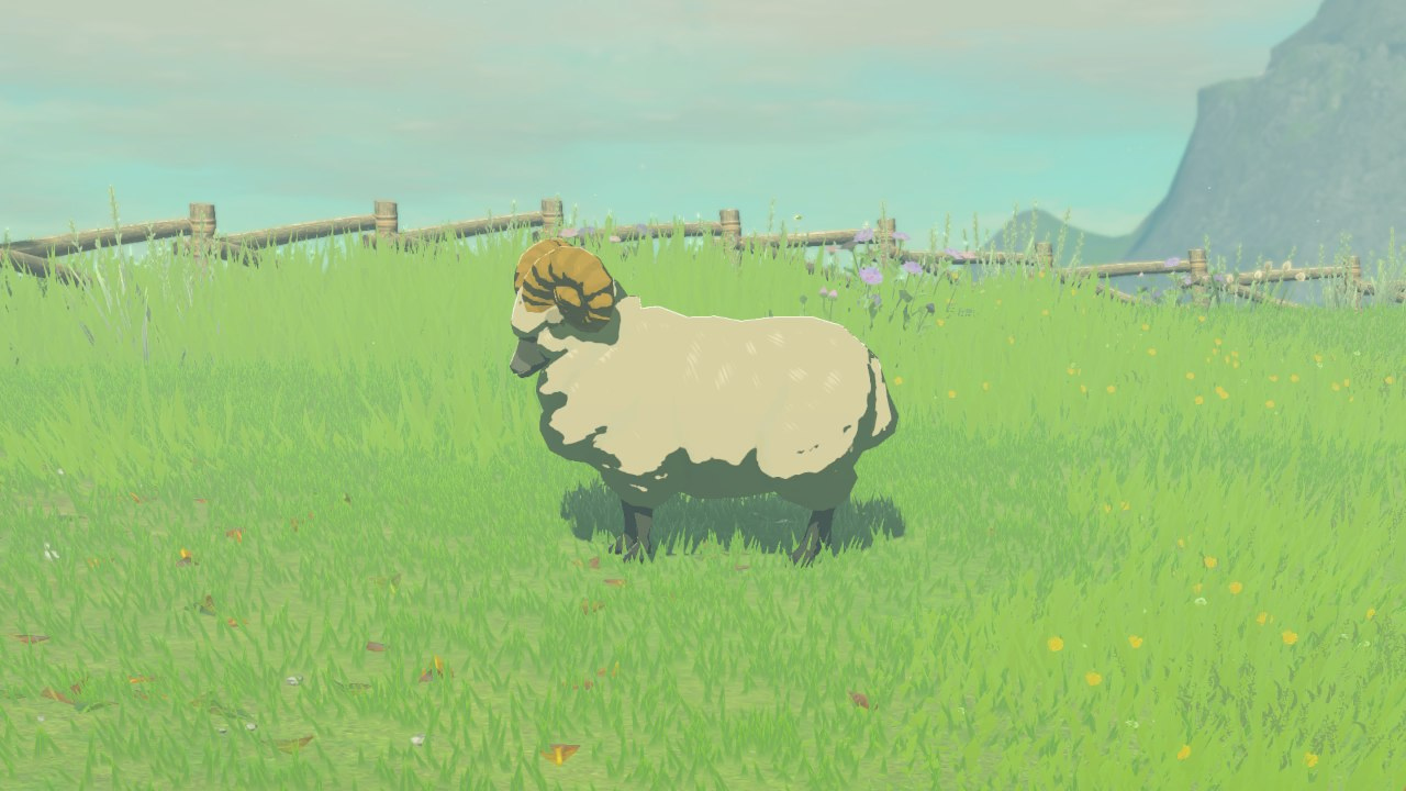 Animal Sheep A Detail.png