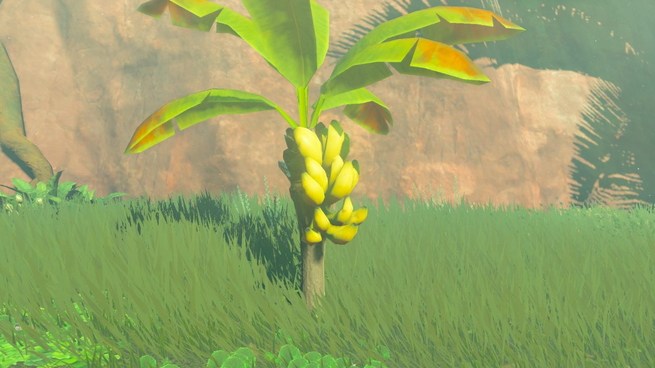 Item Fruit H Detail.png