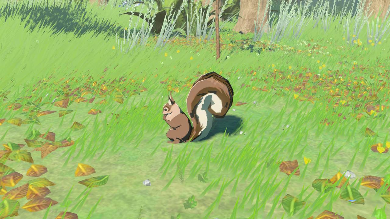 Animal Squirrel A Detail.png