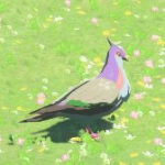 Animal Pigeon A Icon.png