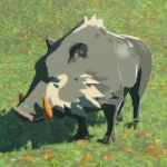 Animal Boar B Icon.png