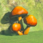 Item Mushroom C Icon.png