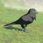Animal Crow A Icon.png