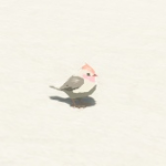 Animal LittleBird B Icon.png