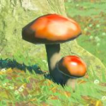 Item Mushroom E Icon.png