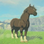 GameRomHorse Icon.png