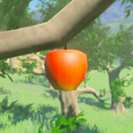 Item Fruit A Icon.png