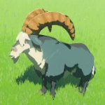 Animal WildGoat A Icon.png
