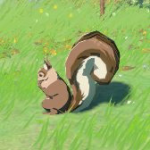 Animal Squirrel A Icon.png