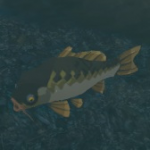 Item FishGet E Icon.png