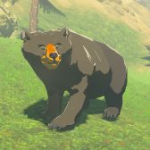 Animal Bear A Icon.png
