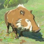 Animal Boar A Icon.png