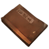 纸嫁衣2：奘铃村-道具-湿日记本.png