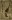 Cardgame bg.png