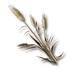 物品 灰芦麦.png