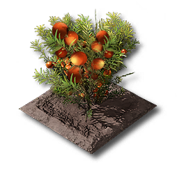 物品 荞花田块.png