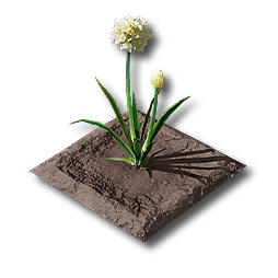 物品 锦草田块.png