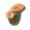 轻红柱状菌.png