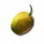 物品 柑实种子.png