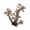 晶化多齿叶.png