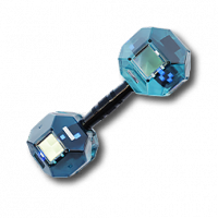 物品 应龙哑铃.png