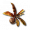 受蚀玉化叶.png