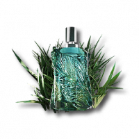 物品 耶尔什微风.png