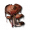 血菌.png